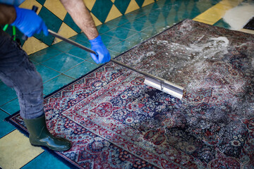 Carpet chemical cleaning with brush.