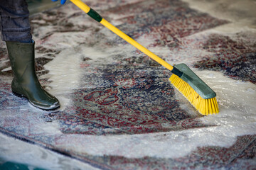 Carpet chemical cleaning with brush.