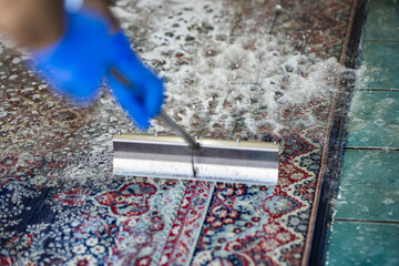 Carpet chemical cleaning with brush.