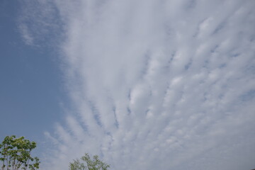 sky, blue, 구름, 구름, 네이처, 백, 일, 날씨, 공기, 흐린, 태양, 천국, 여름,...