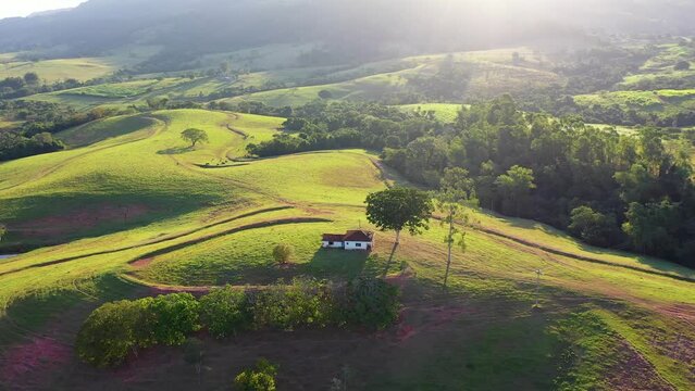 Forest Trees Evening Rural Life At Teofilo Otoni Minas Gerais Brazil. Latin America Cultivation Evening. Bosk Cinematic Cattle Landscape Countryside Sky.