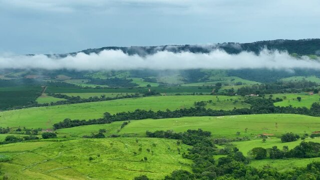 Green Mountains Rural Landscape At Ribeirao Preto Sao Paulo Brazil. South America Tillage Pasture. Industry South America Cattle Outdoor Countryside Clear Sky.