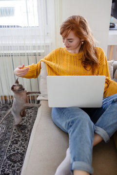Young beautiful woman doing online work at home, beautiful Sphynx cat distracting owner from work