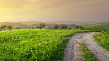 Fototapeta na wymiar Idyllic sunset landscape with green grass and countryside road. Springtime in Cyprus