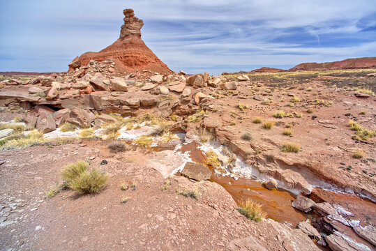 The Guardian rock hoodoo near Pintado Point Spring, Petrified Forest National Park, Arizona, USA