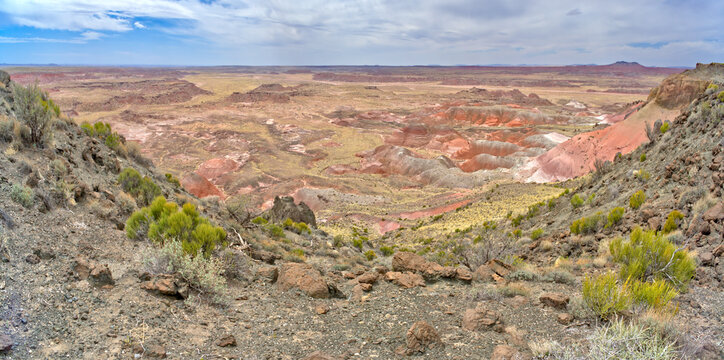 View from southwest side of Pintado Point, Petrified Forest National Park, Arizona, USA