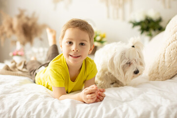 Cute little preschool boy with his pet dog, playing together in bed