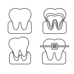 Vector flat illustration of teeth in various states in line style.