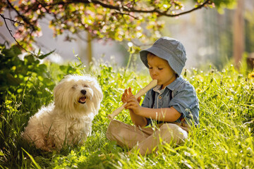 Stylishly dressed child, boy with pet dog, playing in the park on flute