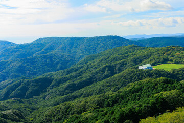 Fototapeta na wymiar 稲佐山展望台から見た長崎の自然風景
