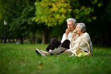 Portrait of elderly couple having a picnic in the summer