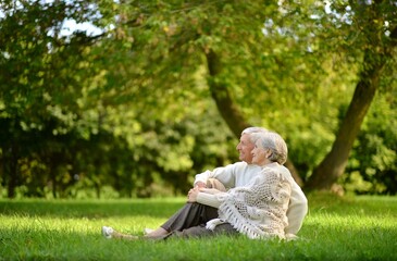 Portrait of happy senior couple sitting in autumn park