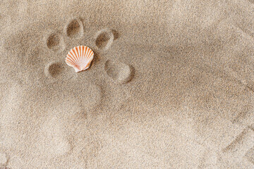 Fototapeta na wymiar Background sea sand grains, fine beach sand and shells.