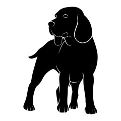 Beagle Black and White. Vector isolated illustration on white background