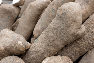 Large yam tubers  displayed for sale - obrazy, fototapety, plakaty