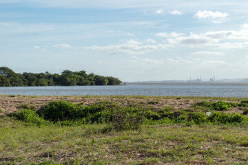 Half blue, half green