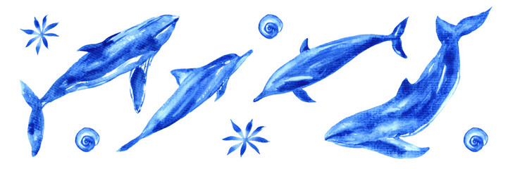 Watercolor set of ocean animals. Blue watercolor whale, dolphin, shell © liliia_sinhina