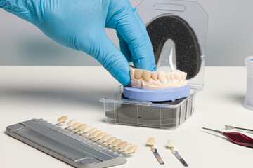 close up of handling a ready for use at artificial dentition after final work in dental laboratory