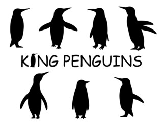 リアルなキングペンギンのシルエットイラストセット
