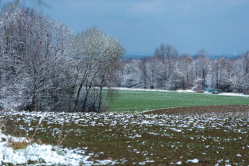 Zaorane pole pokryte śniegiem po przejściu burzy śnieżnej.