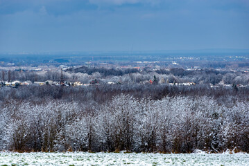 Bielsko-Biała, zimowa panorama, śnieg, drzewa, domy, horyzont. - obrazy, fototapety, plakaty