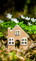 The symbol of a house in a forest clearing among white snowdrops
