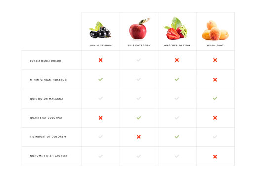 Infographic Table Layout With Photo Placeholder Categories