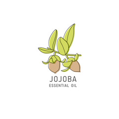 Vector packaging design element and icon in linear style - jojoba oil - healthy vegan food. Logo sign. - obrazy, fototapety, plakaty