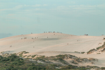 Fototapeta na wymiar Sand dunes in Joaquina Beach