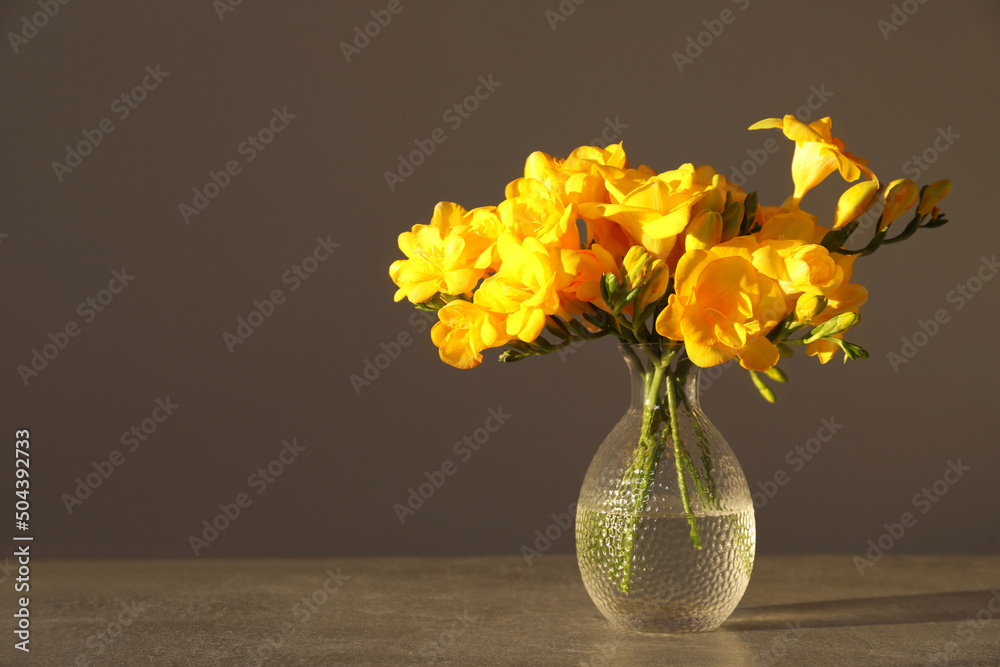 Wall mural beautiful yellow freesia flowers in glass vase on grey table, space for text