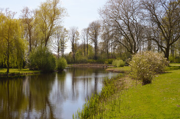 Fototapeta na wymiar Beautiful vegetation and pond on sunny day. Picturesque spring landscape