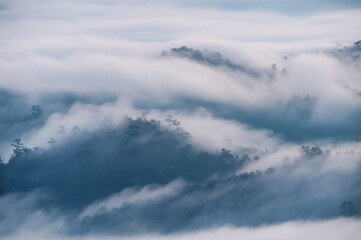 Obraz premium Scenery of foggy flowing on mountain valley in tropical rainforest at the morning