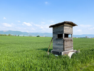 Watching and  hunting tower , nature observation cabin