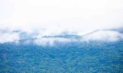 Blue mountains and mist envelop the peaks. Great nature. Khao Yai. Rainforest. Nature background.