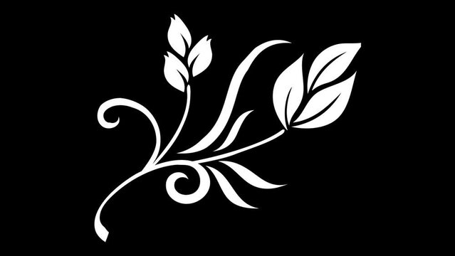 Animated flourish ornament shape on isolated background
