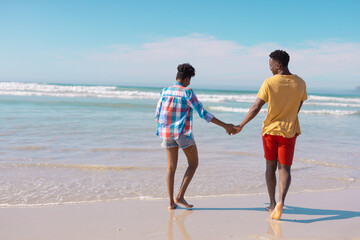 Rear view of african american young couple holding hands and walking at sea shore against sky