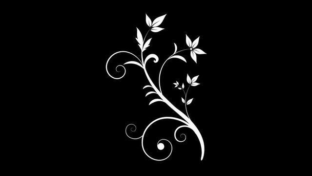 Animated flourish ornament shape on isolated background