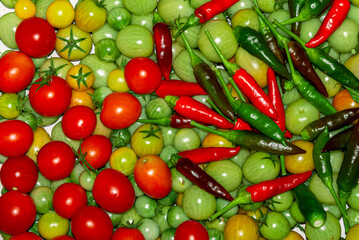 tomatoes red and green chili Spice vegetables as backdrop