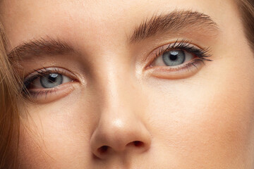 Obraz premium Beautiful macro shot of female eye with classic smoky makeup. Perfect shape of eyebrows, brown eyeshadows and long eyelashes.Closeup macro shot of fashion smoky eyes visage. Before and after