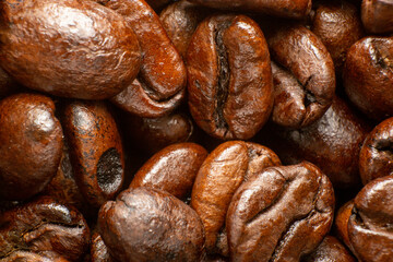 roasted coffee bean isolated on white background