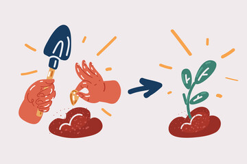 Vector illustration of Phases plant growing. Hand put seed in ground. Sprout, plant, tree growing. Agriculture icons.