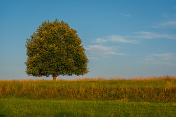 countryside of Polana region, Slovakia, Europe, abandoned place, rural concept, sunset light. Pure nature © fotomolka
