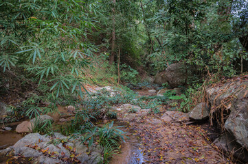 water flow on Tat Moel Waterfall at khuntan mountain national park.the Khun Than mountain range of the DoiKhun national park natural boundary between the northern Lamphun Lampang.