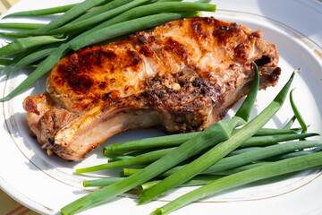 beef meat lies on a plate with green onions