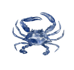 Dark blue crab. Underwater world.