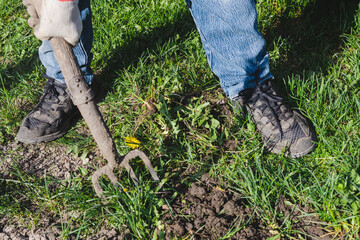 Legs in sneakers and a hand holding a pitchfork. Weeding the weeds