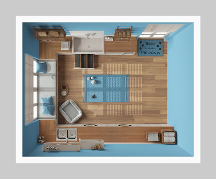 Pet friendly modern blue and wooden laundry room, mudroom with cabinets, shelves and equipment. Dog shower bath with ladder, dog bed, carpet. Top view, plan, above. Interior design