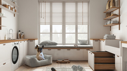 Cute french bulldog in a space devoted to pet, pet friendly white and wooden laundry, mudroom with dog bed and dog shower, big window with sofa, capet with toys. Interior design