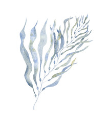 Blue Watercolor Seaweed. Underwater world. © vectorgirl