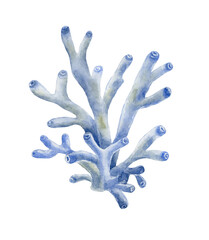 Blue watercolor coral. Underwater world.